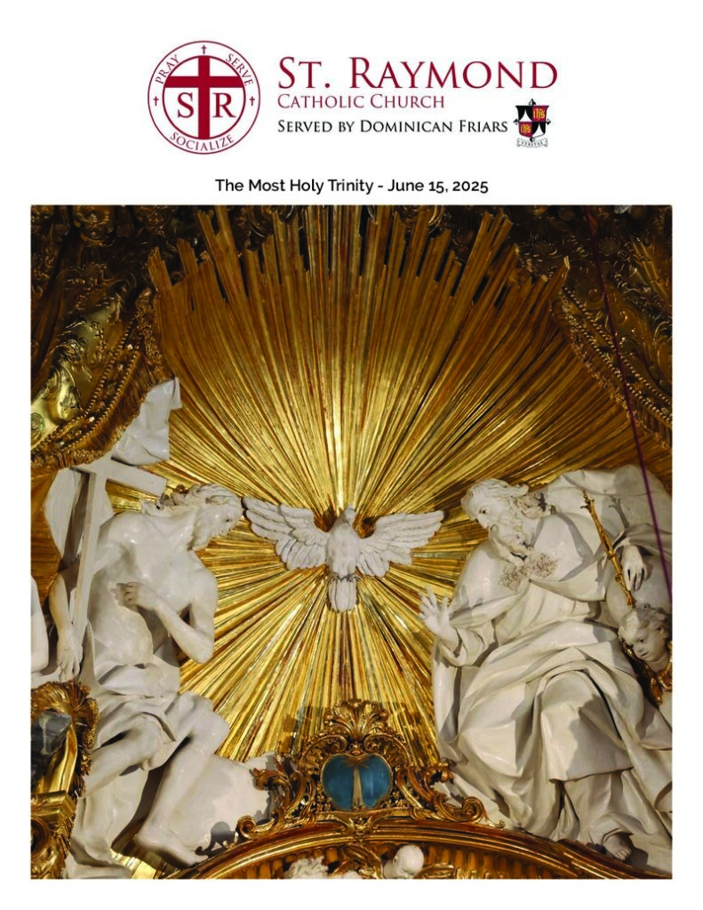 June 15, 2025 – The Most Holy Trinity thumbnail